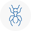 Ant Removals In Burlescombe