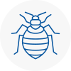 Bed Bug Extermination In Burlescombe