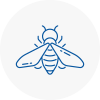 Bee Nest Removal Burlescombe