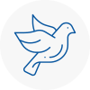 Bird Prevention Burlescombe