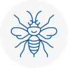 Burlescombe Hornet Nest Removals