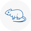 Rat Control Burlescombe