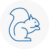 Burlescombe Rodent Removals